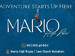 Mario High Ropes
